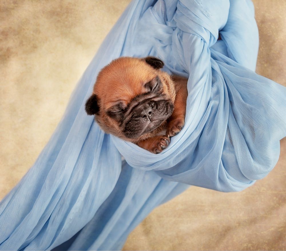 Vaginal Hyperplasia and Prolapse